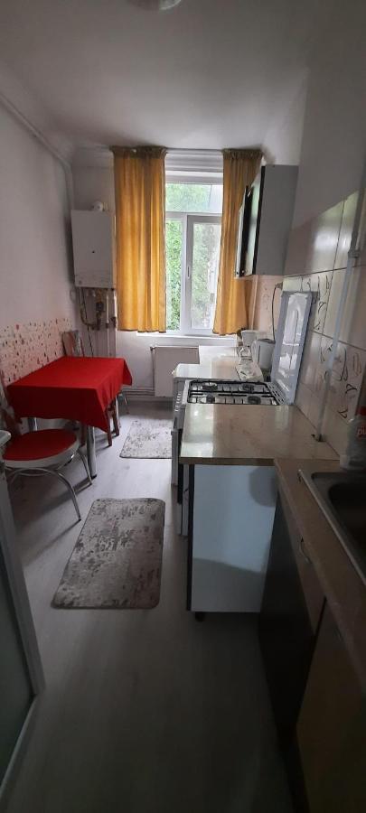 Apartament La Denis Bîrlad Exterior foto